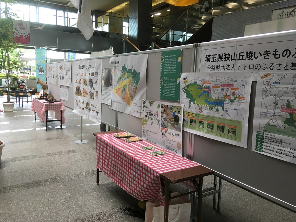 所沢市役所ロビー展